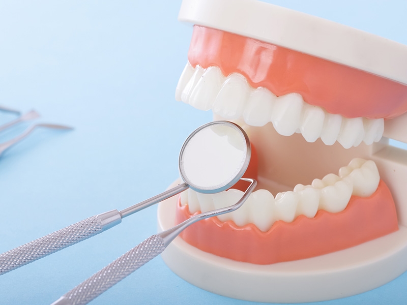 健康相談・検診